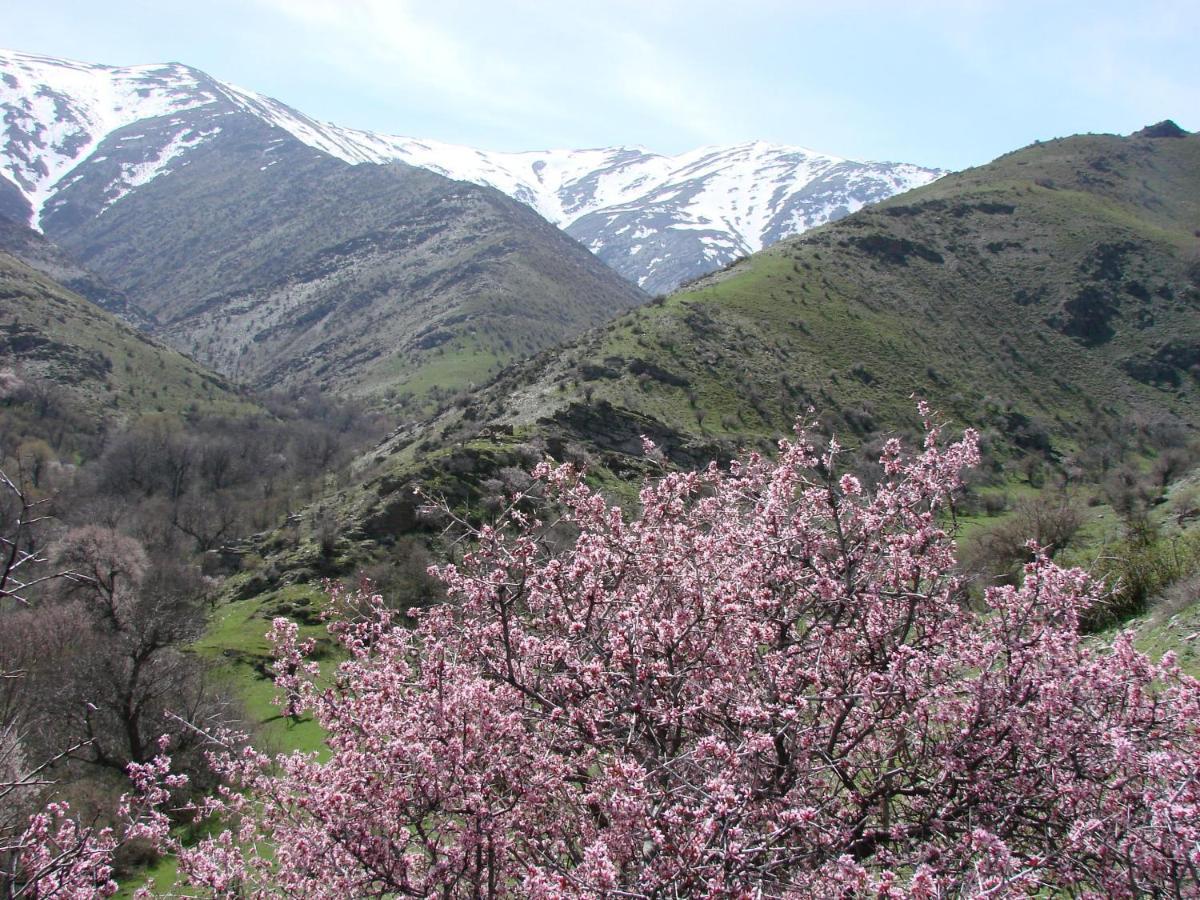 Hayat Guesthouse Nuratau Mountains Yukary-Ukhum Esterno foto